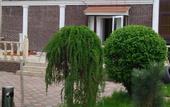 Туры в отель Garden Hotel