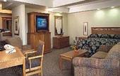 Туры в отель Executive Royal Inn West Edmonton