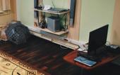 Туры в отель Hostel Scandinavia (ул. Фурштатская, пр. Литейный)