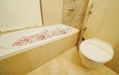 Туры в отель Hotel Atulyaa Taj
