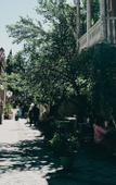 Туры в отель The House Hotel Old Tbilisi