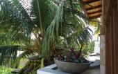 Туры в отель Sky Garden Hotel