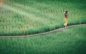 Туры в отель Kuwarasan A Pramana Experience