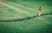 Туры в отель Kuwarasan A Pramana Experience