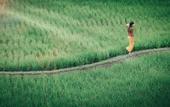 Туры в отель Kuwarasan A Pramana Experience