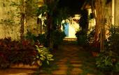 Туры в отель Costa Village Pool Villa Hotel