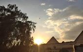 Туры в отель Arabian Nights Pyramids Guesthouse