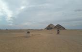 Туры в отель Arabian Nights Pyramids Guesthouse