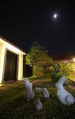 Туры в отель The Siam Place Pool Villa
