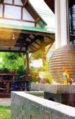 Туры в отель The Siam Place Pool Villa