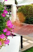 Туры в отель The Siam Place Pool Villa