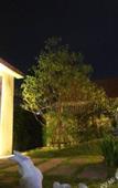 Туры в отель The Siam Place Pool Villa