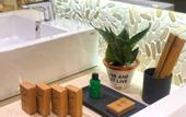 Туры в отель The Radh Hotel