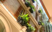 Туры в отель The Radh Hotel