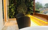 Туры в отель The Radh Hotel
