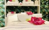Туры в отель The Radh Hotel