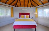 Туры в отель Gold Lion Hotel