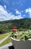 Туры в отель Holiday Borjomi
