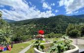 Туры в отель Holiday Borjomi