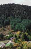 Туры в отель Holiday Borjomi