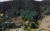 Туры в отель Holiday Borjomi