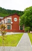 Туры в отель Holiday Borjomi
