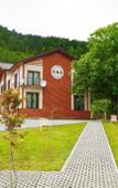 Туры в отель Holiday Borjomi