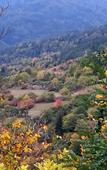Туры в отель Holiday Borjomi