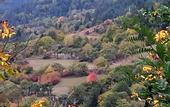 Туры в отель Holiday Borjomi
