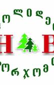 Туры в отель Holiday Borjomi
