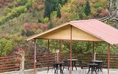 Туры в отель Holiday Borjomi