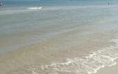 Туры в отель FLORA Hotel Phu Quoc