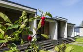 Туры в отель New Riga Village & Boho Glamp hotel