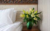 Туры в отель New Riga Village & Boho Glamp hotel