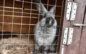 Туры в отель Бунин ручей