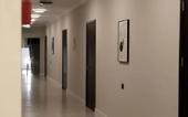 Туры в отель Rose Hotel