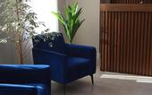 Туры в отель Rose Hotel