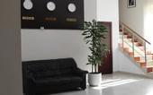 Туры в отель Rose Hotel