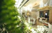 Туры в отель Hotel Kenari