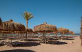 Туры в отель Jaz Asteria Beach