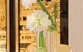 Туры в отель Fairmont Beijing