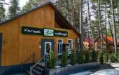 Туры в отель Eko Forest cottage