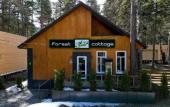 Туры в отель Eko Forest cottage