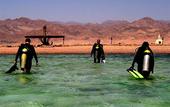 Туры в отель Red Sea Relax Resort