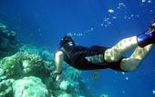 Туры в отель Red Sea Relax Resort