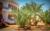 Туры в отель Shams Hotel & Dive Centre