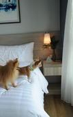 Туры в отель Oakwood Hotel And Residence Sri Racha