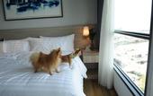 Туры в отель Oakwood Hotel And Residence Sri Racha