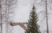 Туры в отель Karelian Rocky House