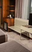 Туры в отель Ankara Alegria Business